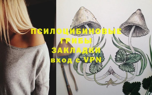 гашиш Богородицк