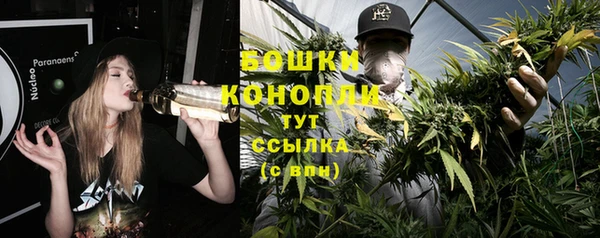 COCAINE Белокуриха