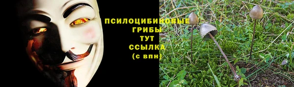 кокс Богданович