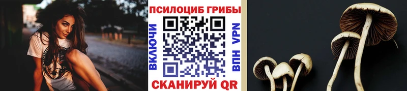 Псилоцибиновые грибы Cubensis  Купить закладки  Мончегорск 